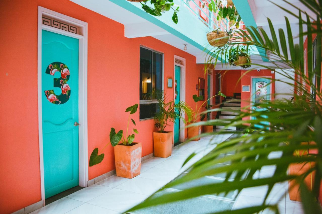 Flamingo Hostel & Coworking Santa Marta  Exterior foto